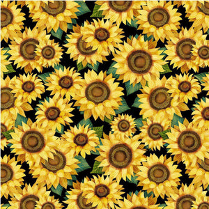 Hello Sunshine- Sunflowers - Black